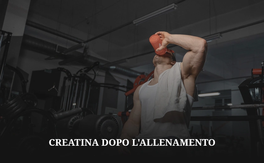 Creatina dopo l'allenamento